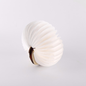 2018 mágico estilo perro plegable <span class=keywords><strong>libro</strong></span> luz USB recarga <span class=keywords><strong>libro</strong></span> de madera para los niños - Product Image 3