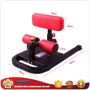 Sissy Squat unidad trx vida bodybuilding CrossFit fitness gimnasio equipo - Product Image 1
