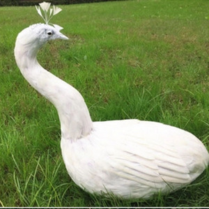 Precio al por mayor hermosa <span class=keywords><strong>vida</strong></span> tamaño espuma modelo decorativo Pavo Real - Product Image 5