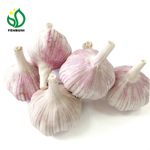 Aglio per Esportazione e Importazione (Mercato del Bangladesh e dello Sri Lanka) - Product Image 2