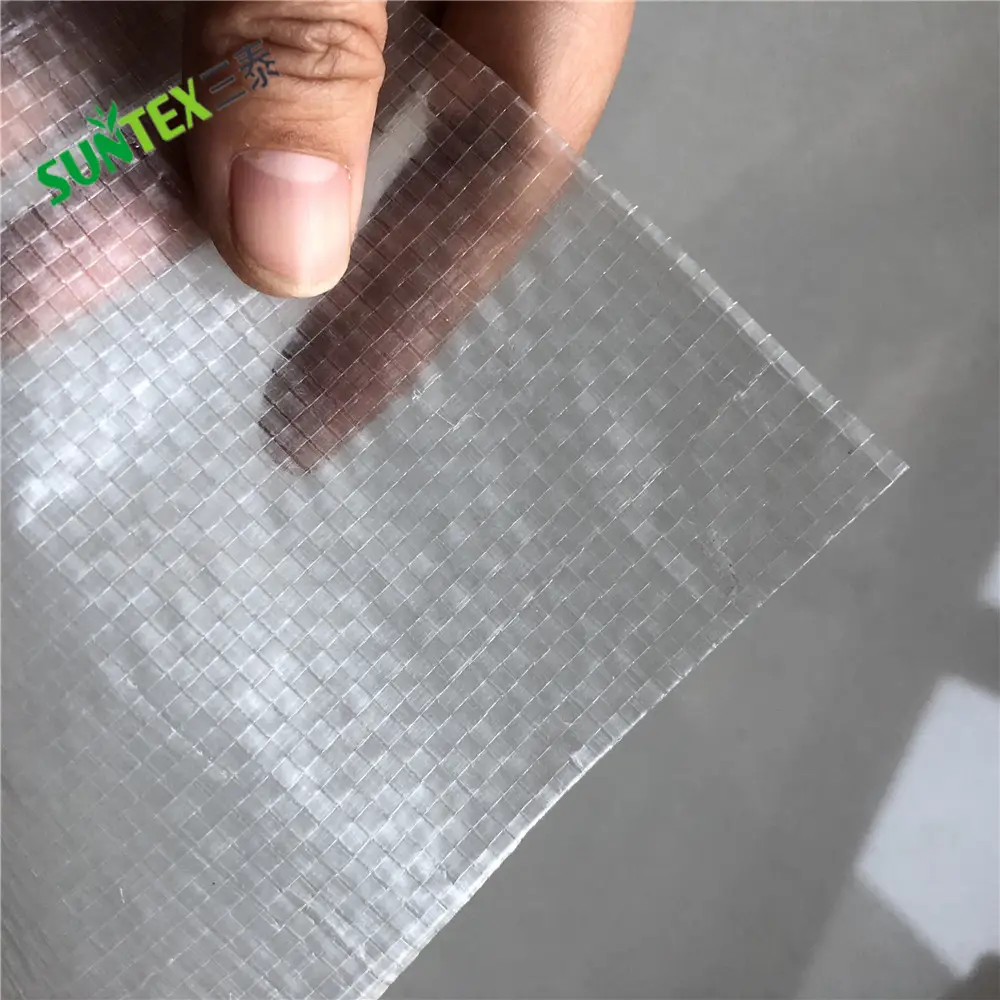 Film de serre en plastique PE tissé renforcé de 200 microns/couverture de serre en feuille de plastique/tissu de serre tissé pour l'aquaculture