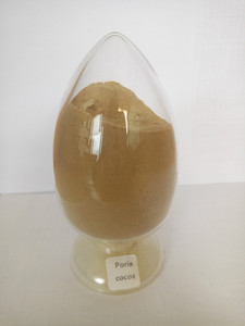 suministramos la alta calidad de hongos comestibles y medicinales extracto de <span class=keywords><strong>poria</strong></span> <span class=keywords><strong>cocos</strong></span> - Product Image 1