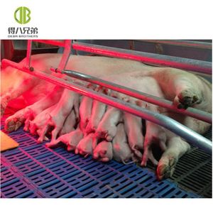 PVC Bảng Điều Khiển Lợn Trang Trại Phổ Biến Loại Đơn <span class=keywords><strong>Farrowing</strong></span> Thùng Chăn Nuôi Lợn Bút - Product Image 5