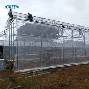 商业热带屋顶通风口单跨温室番茄，生菜，胡椒