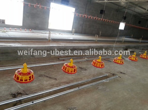 Aves de <span class=keywords><strong>corral</strong></span> automática <span class=keywords><strong>pan</strong></span> alimentador en poultry house - Product Image 6