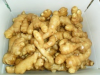 Gingembre frais chinois, haute qualité, avec norme exportation