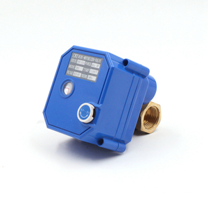 3v 5v 6v 12v 24v 110v 220v DN15 DN20 DN25 двухпроводный 3-проводный 5-проводный двухходовой латунный ss304 мини-Электрический клапан с электроприводом - Product Image 5