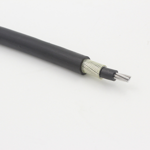 <span class=keywords><strong>Precio</strong></span> de fábrica para <span class=keywords><strong>cable</strong></span> concéntrico de <span class=keywords><strong>aluminio</strong></span> de núcleo único de bajo voltaje <span class=keywords><strong>Cable</strong></span> antirrobo de 16mm - Product Image 1