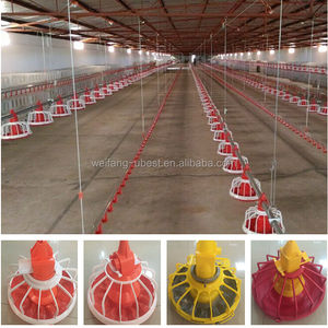 Lage kosten gevogelte kip <span class=keywords><strong>farm</strong></span> building voor Filippijnen - Product Image 4