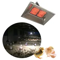 Radiant Gas Brooder, Poultry Heater, Chicken House