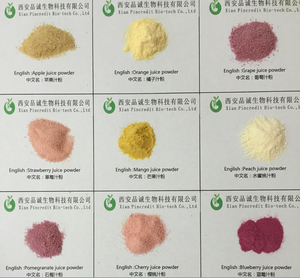 Pó concentrado de frutas de maçã orgânico verde