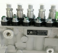 Bomba Inyectora de Combustible Wuxi Weifu 4989873 para Motor Diésel DCEC Cummins 6CT 8.3