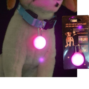Collar de Seguridad con Luz LED para Perros, para Paseos Nocturnos - Product Image 6