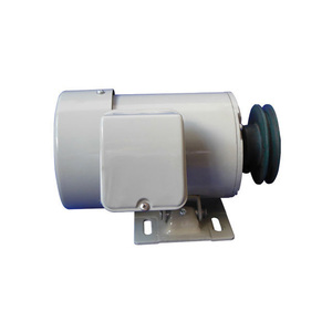 Motor de bomba de drenaje monofásico, 350W, para <span class=keywords><strong>lavadora</strong></span> - Product Image 1