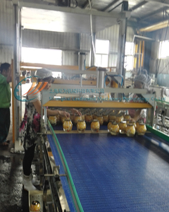 Máy Palletising Tự Động Và Máy Depalletising Trong Dây Chuyền Đóng Gói - Product Image 3