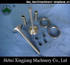 H Changchai ZS195 diesel engine parts valve for sale engine valve kits