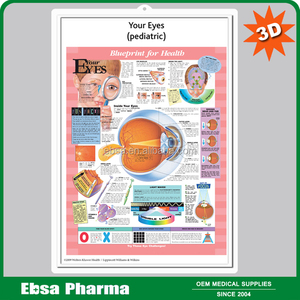 3D Bagan Dinding Anatomis Medis untuk Pemahaman Edwin - Product Image 2