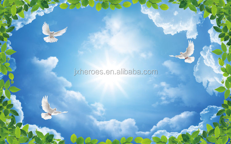 Numéro de type E31257K