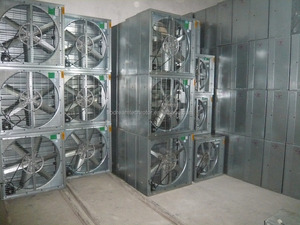 Ventilador de Extracción de Pared de 62 Pulgadas (157 cm) con Forma Cuadrada y Oscilación, Suministro de Fábrica en China - Product Image 5