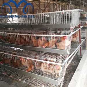 Quảng châu suicheng MỘT loại gia cầm trang trại đặt trứng gà pin gà lớp lồng 96 gà - Product Image 4