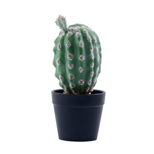 Decoración <span class=keywords><strong>del</strong></span> hogar artesanía artificial <span class=keywords><strong>cactus</strong></span> <span class=keywords><strong>plantas</strong></span> hacer plástico decoración <span class=keywords><strong>cactus</strong></span> y <span class=keywords><strong>plantas</strong></span> - Product Image 3