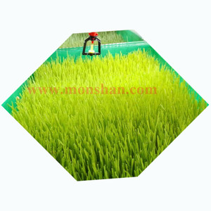 <strong>Solar</strong> <strong>Powered</strong> <strong>Hydroponic</strong> Barley Fodder Growing <strong>System</strong> | Grass Sprouting Machine for Dairy Farm
