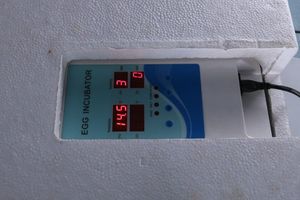 Jifeng Brand <span class=keywords><strong>Brinsea</strong></span> Inkubator - Product Image 5