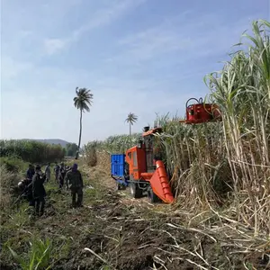 Agricoltore assistente canna mietitrebbie/marca combinano canna da zucchero raccolta macchina in cina