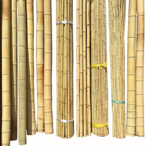 Hermosos postes/Palos/bastones de bambú moso natural para decoración o construcción - Product Image 1