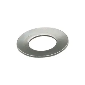 Disc Spring Washer Stainless Steel Disc Spring Washer