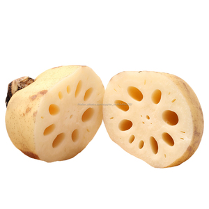 Alta Benefici Verdure Fresche Cibo Radice di Loto - Product Image 3