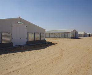 Cách Điện Thép Modular Tòa Nhà Giá Rẻ Prefab Trang Trại Gà Đổ Chìa Khóa Trao Tay Gia Cầm Dự Án - Product Image 6