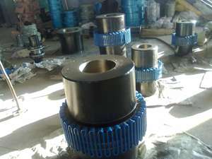 Acoplamiento Flexible de Rejilla Falk 1160T10 - Product Image 6