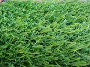 Trung Quốc vườn không thấm nước Thảm Mat Turf cảnh quan cỏ nhân tạo - Product Image 2
