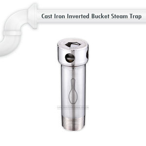 Purgeurs de vapeur à godet inversé en fonte industrielle DSC - Product Image 3