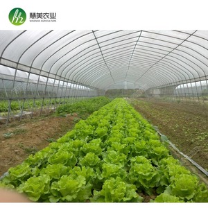 Quadro de aço galvanizado quente comercial solteiro span greenhouse usado para venda - Product Image 2