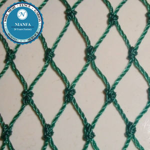ポリプロピレンプラスチックネット/結び目のないプラスチックネットなしのアンチバード (広州工場) - Product Image 5