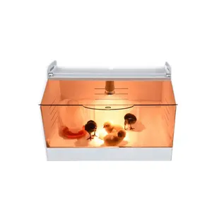 Poultry incubator brooder machine for Baby chicks