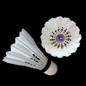 <strong>Badminton</strong> - Product Image 3