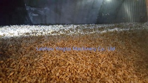 Spécialiste en équipements de maltage automatiques, boîte de germination de l'orge maltée, boîte de séchage pour système de maltage en tour - Product Image 6