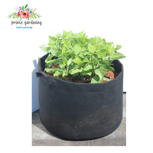 Des échantillons gratuits Spécialisés pour d'<span class=keywords><strong>achat</strong></span> section <span class=keywords><strong>Pomme</strong></span> <span class=keywords><strong>De</strong></span> <span class=keywords><strong>Terre</strong></span> Sac - Product Image 3