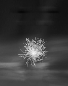 Bianco europeo Goose Piume <span class=keywords><strong>D</strong></span>'anatra Bianca Formato Su Misura <span class=keywords><strong>Piuma</strong></span> Piumino E Giù <span class=keywords><strong>Trapunta</strong></span> - Product Image 6