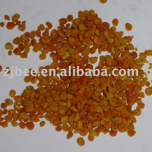 Camélia pur Pollen - Product Image 1