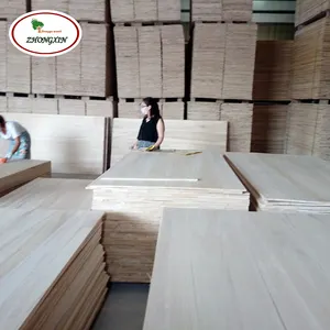 De madera maciza Sauna Panel/comprimido tablero de madera