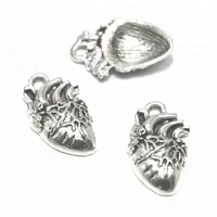 Coeur anatomique Breloques ton Argent cœur humain charme pendentif 26x16x5mm