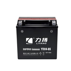 Denel batteries au plomb SMF <span class=keywords><strong>12v</strong></span> <span class=keywords><strong>12ah</strong></span> <span class=keywords><strong>YTX14</strong></span>-<span class=keywords><strong>BS</strong></span> sans entretien gel moto batterie batterie batterie de moteur de moto - Product Image 5