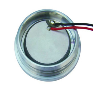 <span class=keywords><strong>Piezo</strong></span> In Ceramica Piastra per Piezoelettrico Sensore di Pressione/Misuratore di Portata Ad Ultrasuoni/Ultrasuoni Bellezza Vibratore