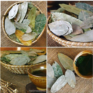 Hojas naturales secas de Graviola, <span class=keywords><strong>Annona</strong></span> muricata, hojas completas - Product Image 3