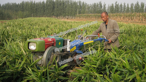 Mejor servicio motocultor cosechadora ajo con motor <span class=keywords><strong>diesel</strong></span> - Product Image 4