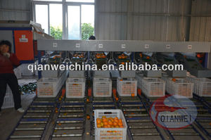 آلة فرز الفواكه بحجم عصارة الليمون والبرتقال - Product Image 6